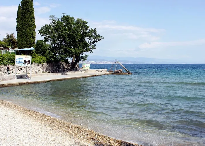 Apartment With A Parking Space - 7868 Opatija